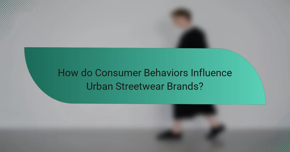 How do Consumer Behaviors Influence Urban Streetwear Brands?