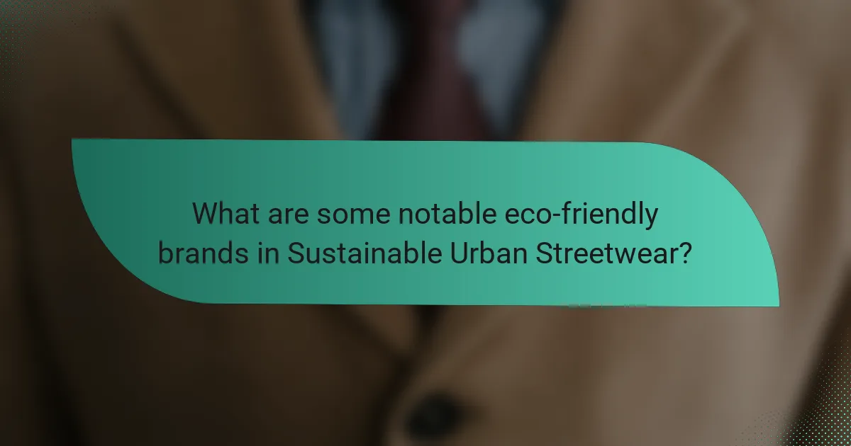 What are some notable eco-friendly brands in Sustainable Urban Streetwear?