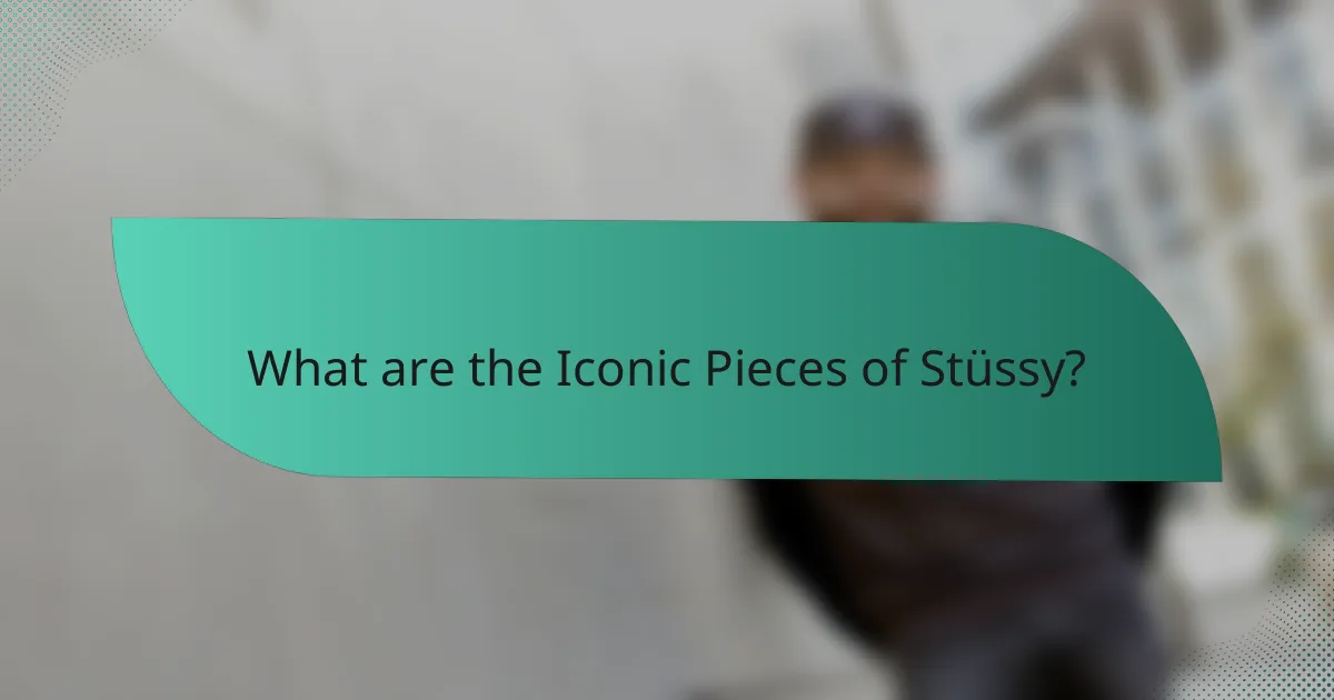What are the Iconic Pieces of Stüssy?