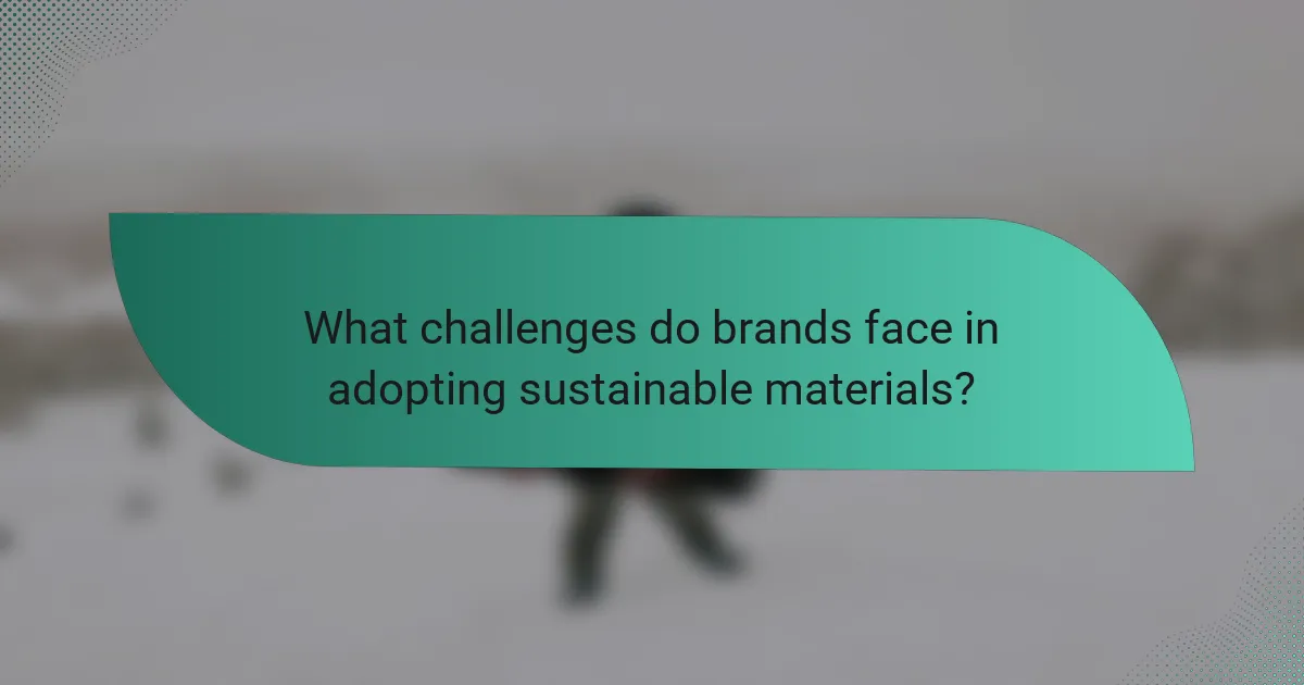What challenges do brands face in adopting sustainable materials?