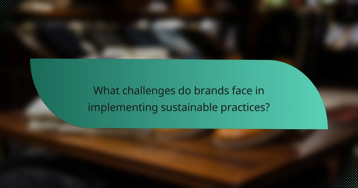 What challenges do brands face in implementing sustainable practices?